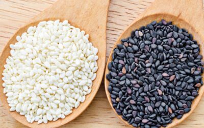 Unlocking the Secrets of Sesame in Ayurveda: From Ancient Remedies to Modern Health